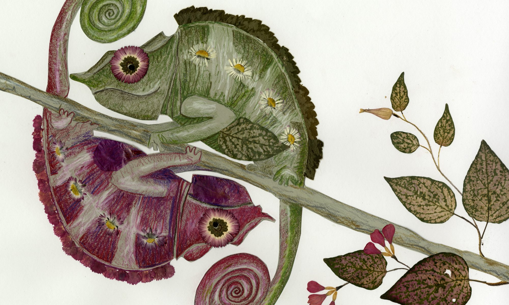 Zwei Chamäleons bilden ein Yin- Yang- Muster