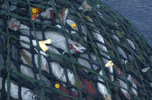 Fische sind in einem Netz gefangen