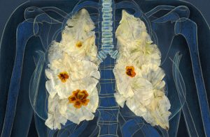 Ein Oberkörper mit zwei Lungenflügeln aus Blüten