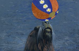 Ein Seelöwe balanciert einen Ball