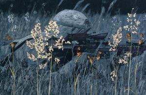 Ein Soldat liegt mit angelegter Flinte im Gras