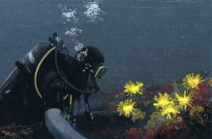 Ein Taucher betrachtet Unterwasserpflanzen