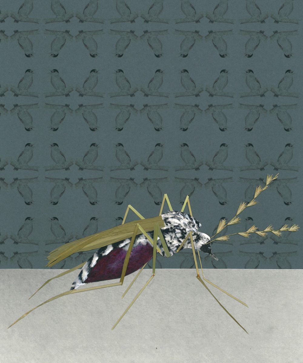 Eine Mücke aus Grashalmen