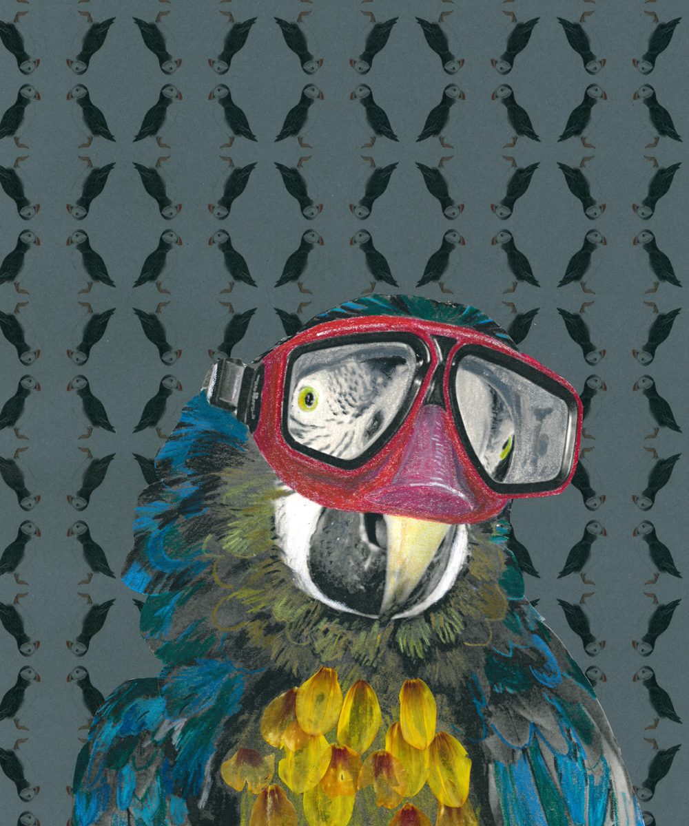 Ein Papagei trägt eine Taucherbrille