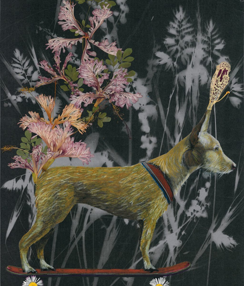 Ein Hund auf einem Skateboard, sein Schwanz ist aus Blüten