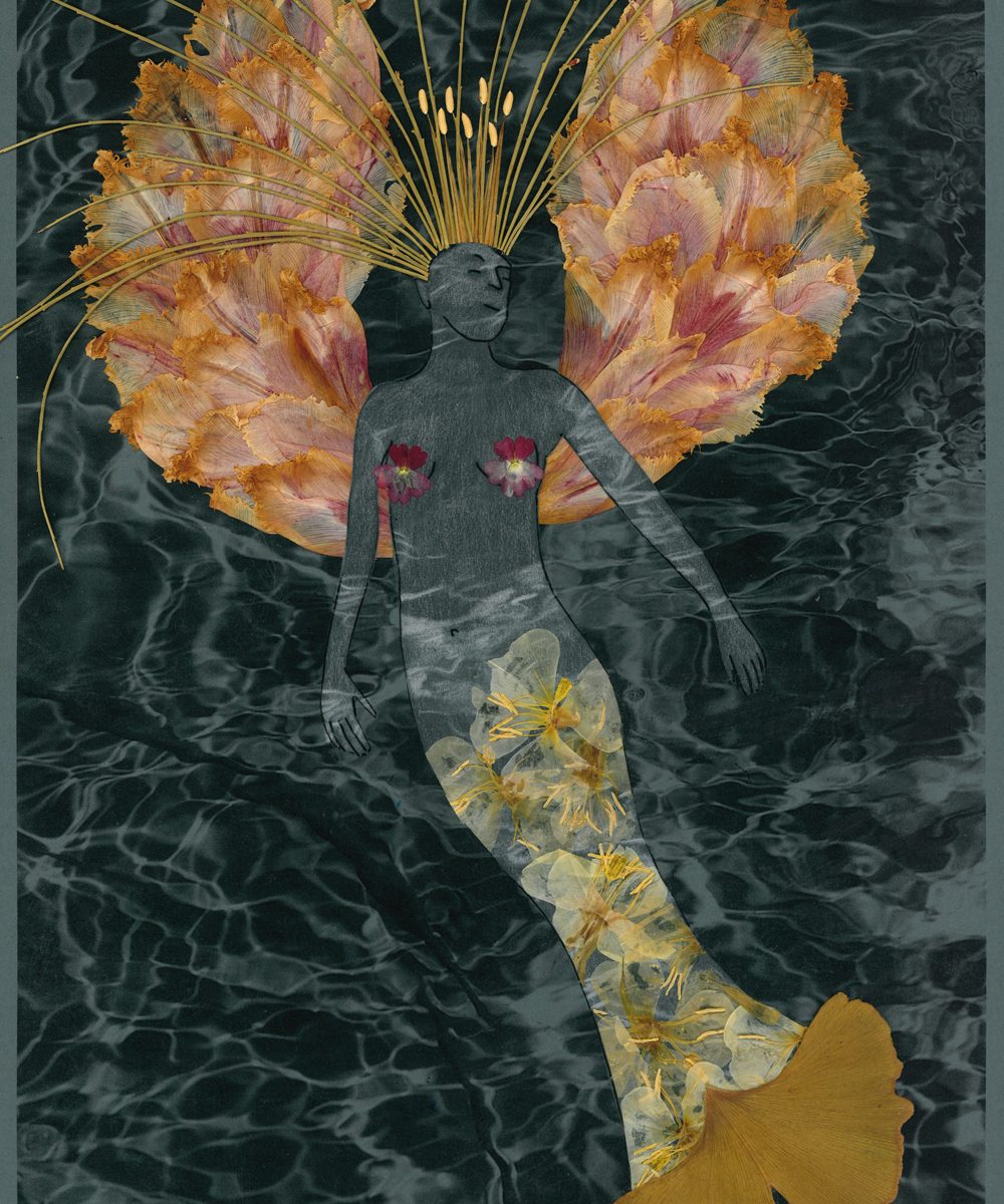 Eine Seejungfrau mit Flügeln